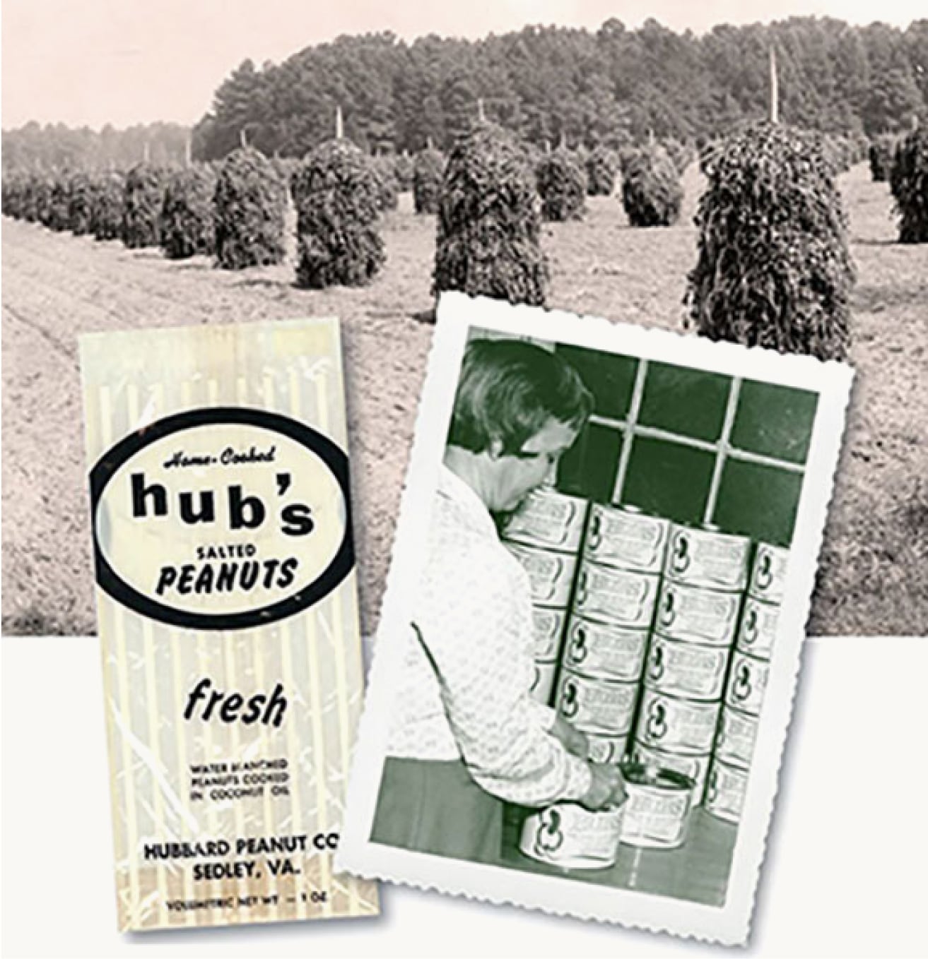 Hubs Peanuts